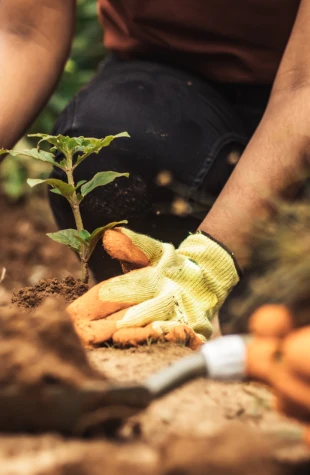 Educación ambiental y sensibilización comunitaria