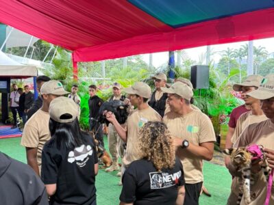 Imagen de WhatsApp 2025-10-04 a las 20.15.52_02683558