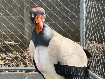 Investigación científica