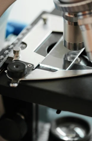 Investigación científica y asesoría técnica