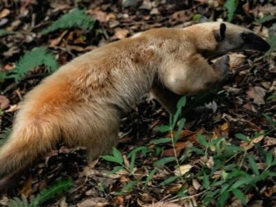 WhatsApp Image 2025-11-26 at 08.14.55 (3)